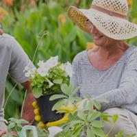 older couple gardening outdoors